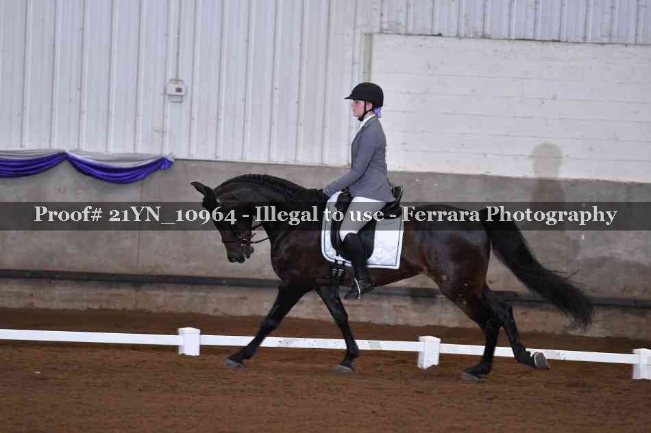 Proof Number 21YN_10964
