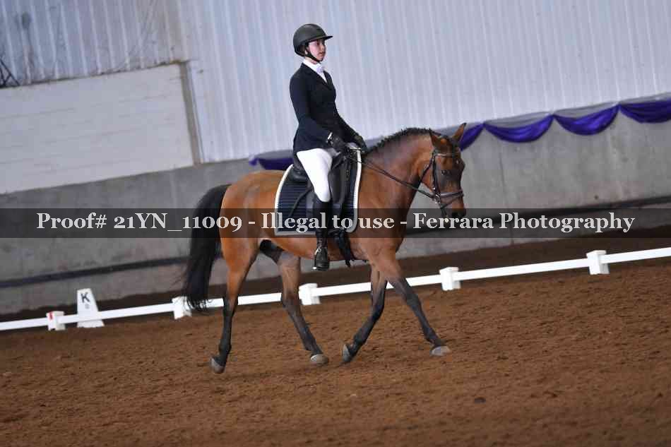 Proof Number 21YN_11009