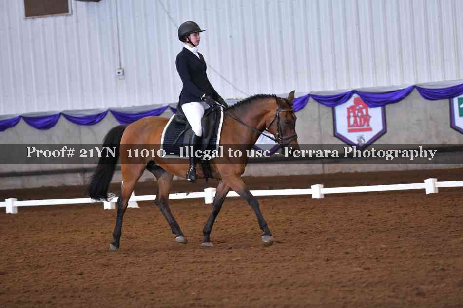 Proof Number 21YN_11010