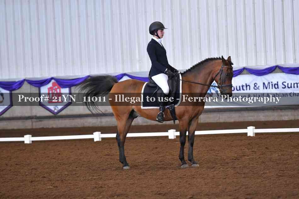 Proof Number 21YN_11011