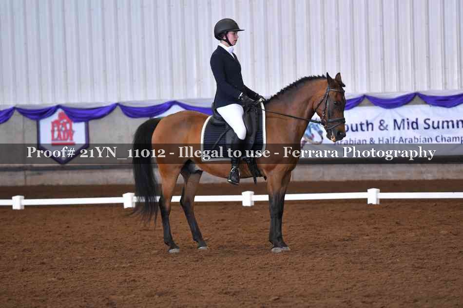 Proof Number 21YN_11012
