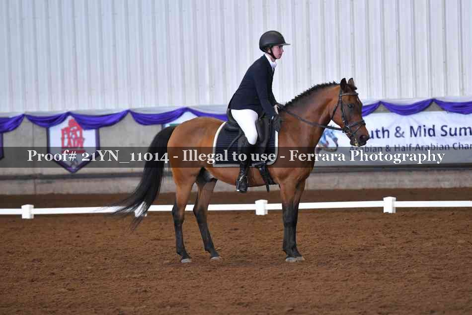 Proof Number 21YN_11014