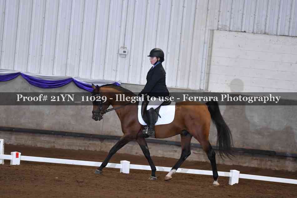 Proof Number 21YN_11029