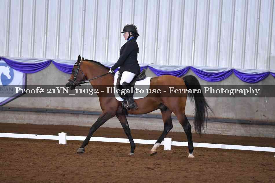 Proof Number 21YN_11032
