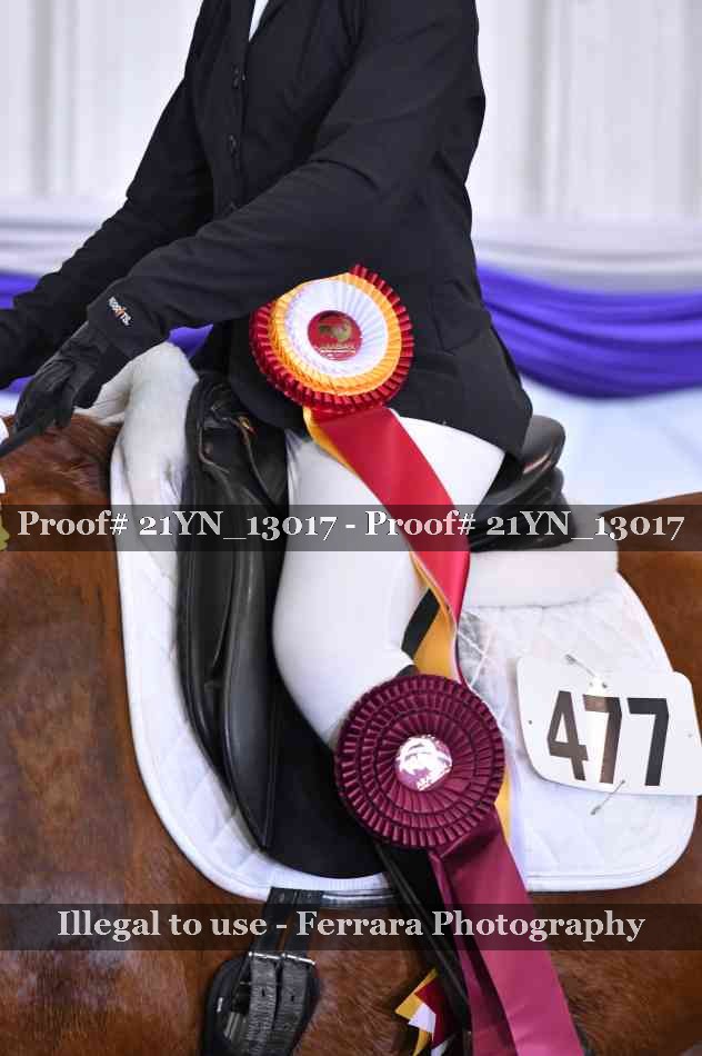 Proof Number 21YN_13017