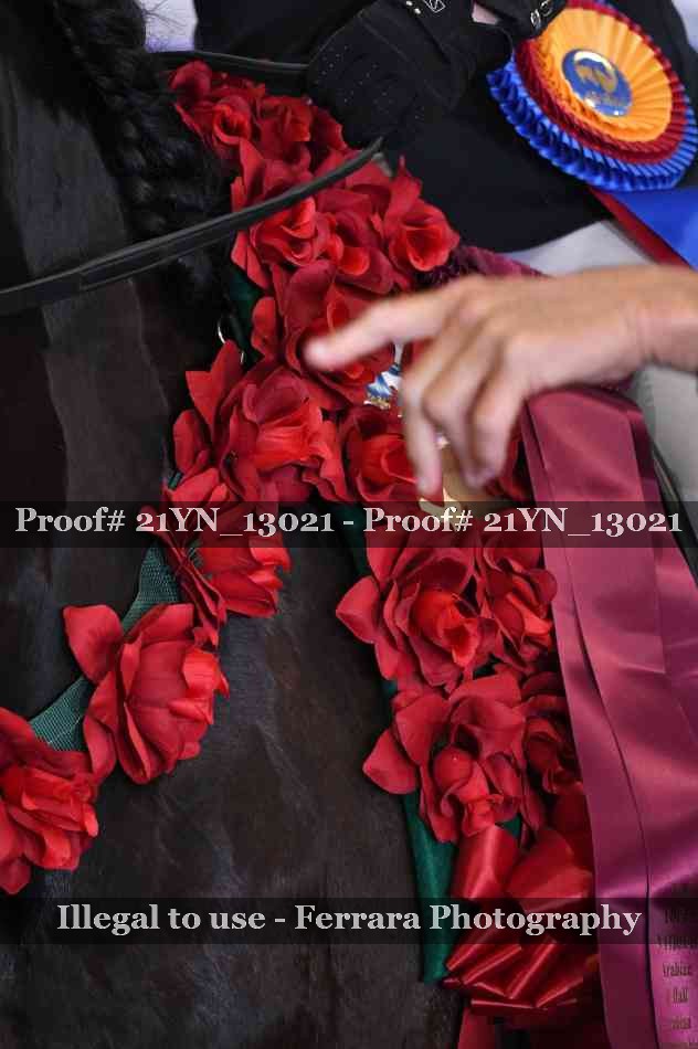 Proof Number 21YN_13021