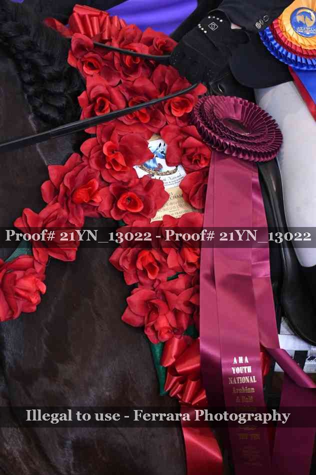 Proof Number 21YN_13022