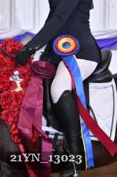 21YN_13023 thumbnail