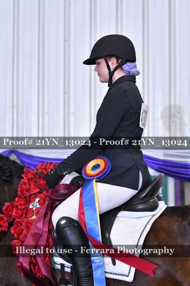 Proof Number 21YN_13024