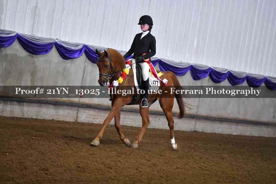 Proof Number 21YN_13025
