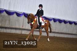 21YN_13025 thumbnail