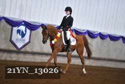 21YN_13026 thumbnail