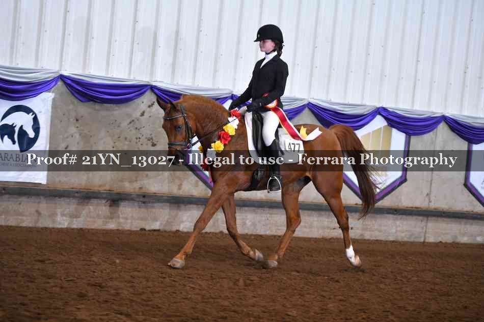 Proof Number 21YN_13027
