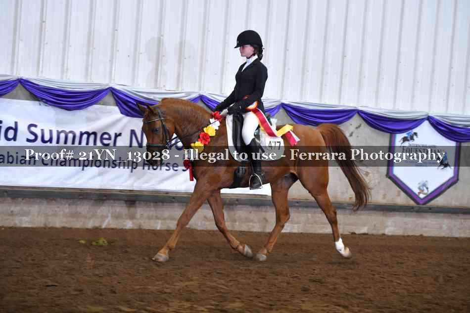 Proof Number 21YN_13028