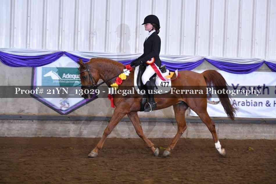 Proof Number 21YN_13029