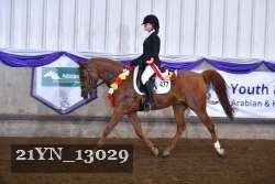 21YN_13029 thumbnail
