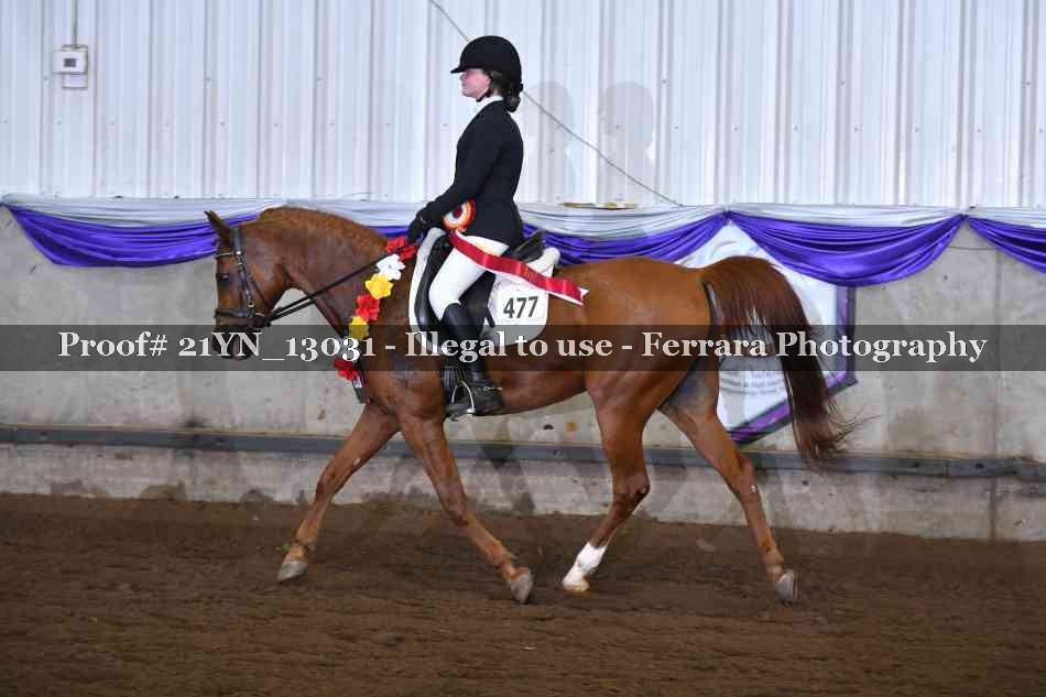 Proof Number 21YN_13031