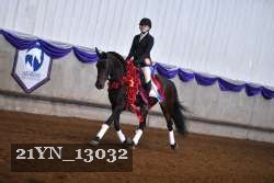 21YN_13032 thumbnail