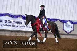 21YN_13034 thumbnail