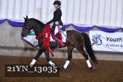 21YN_13035 thumbnail