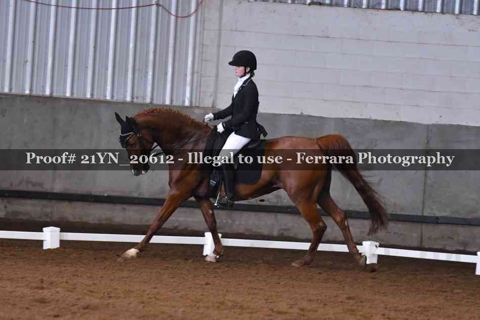 Proof Number 21YN_20612
