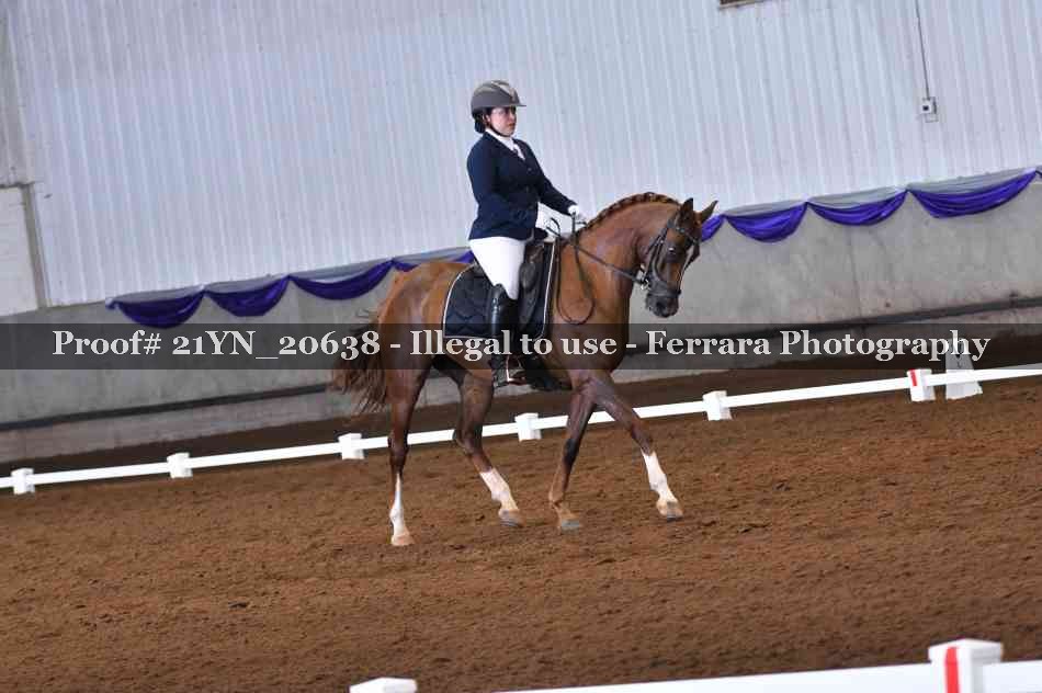 Proof Number 21YN_20638