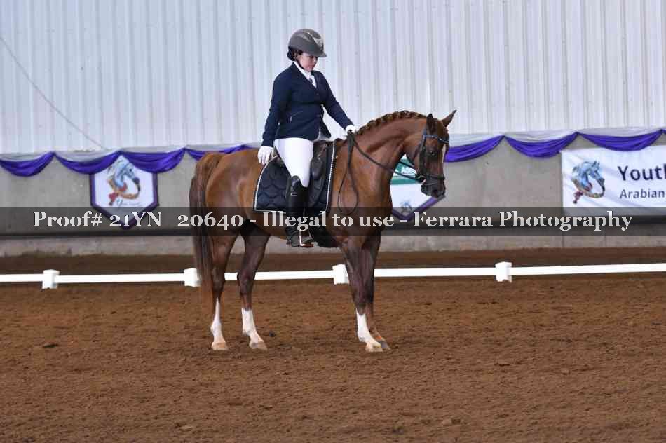 Proof Number 21YN_20640