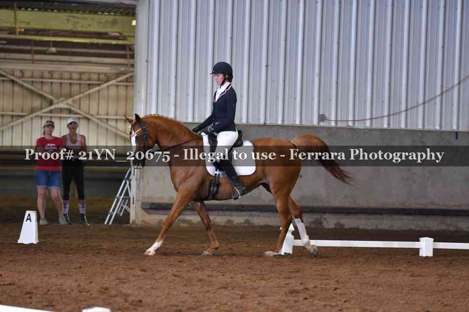 Proof Number 21YN_20675