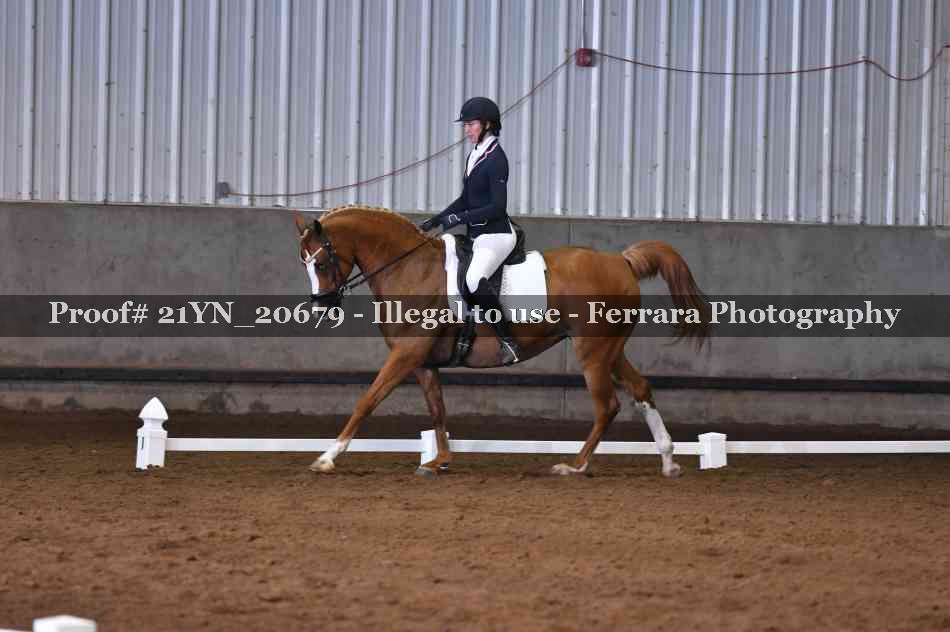 Proof Number 21YN_20679