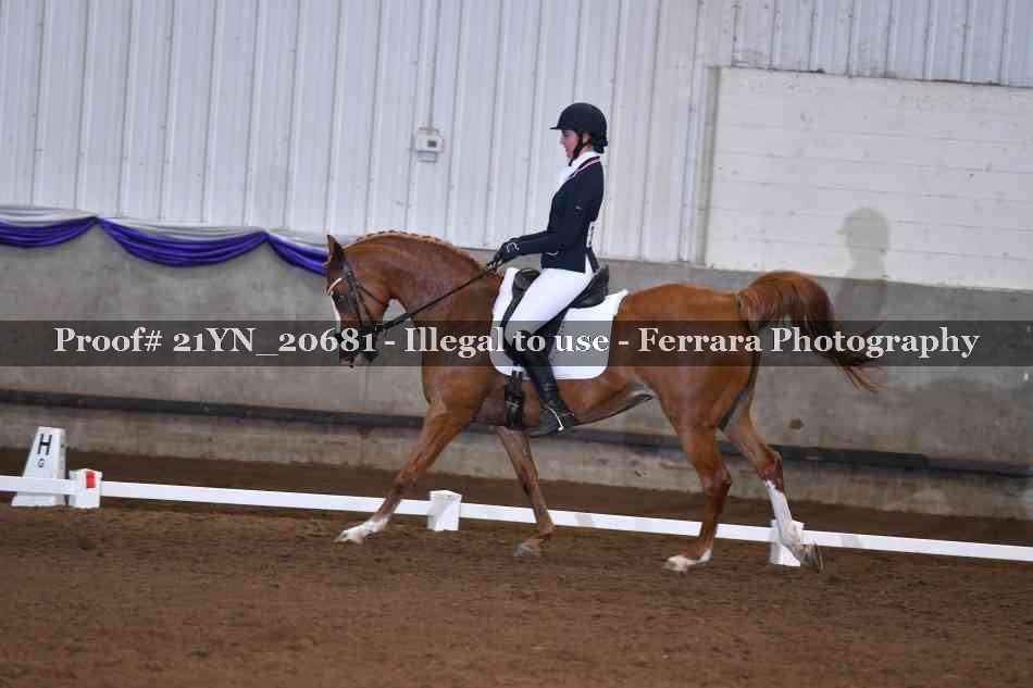 Proof Number 21YN_20681