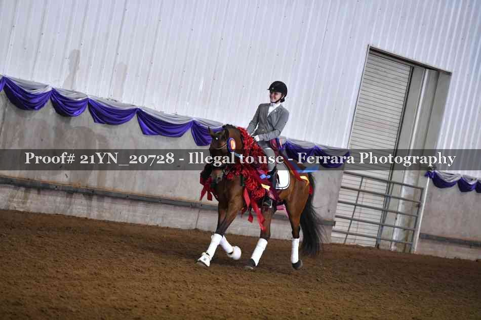 Proof Number 21YN_20728