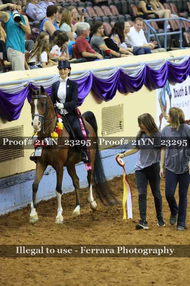 Proof Number 21YN_23295
