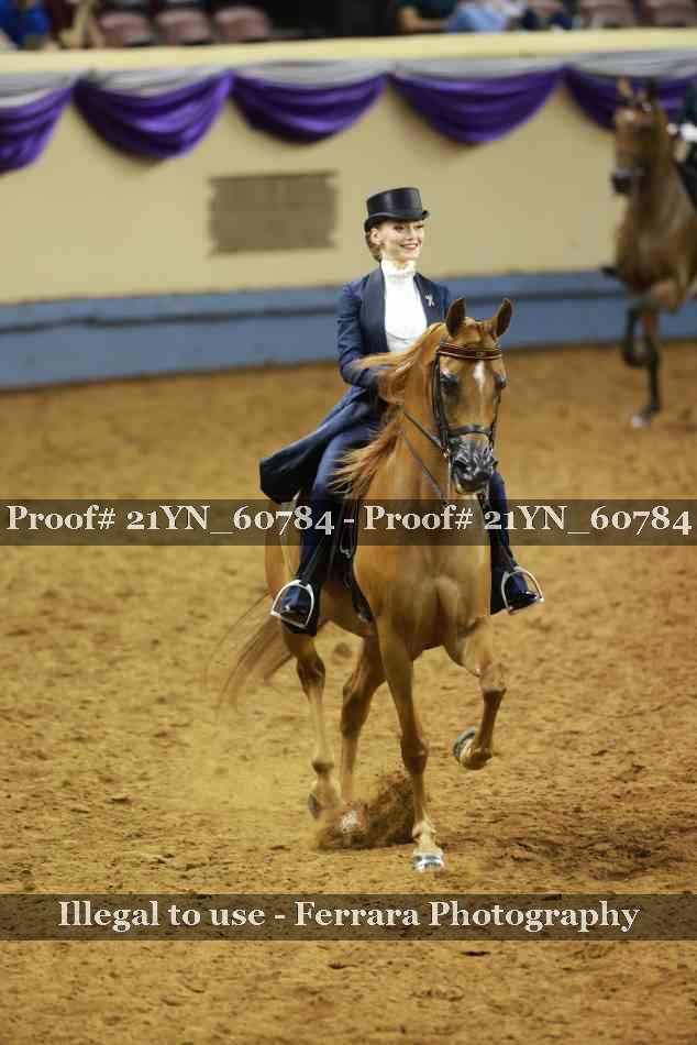 Proof Number 21YN_60784