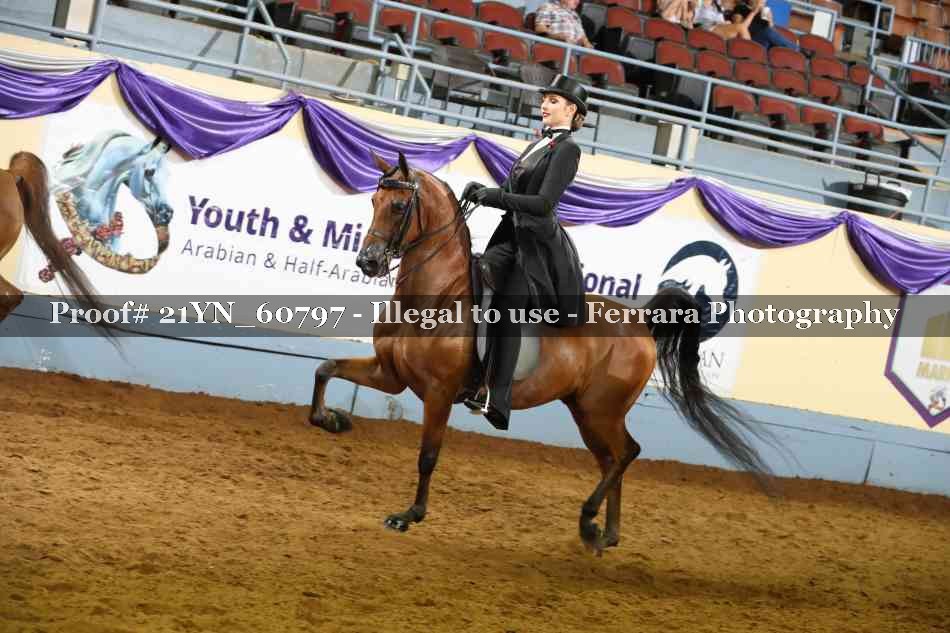 Proof Number 21YN_60797