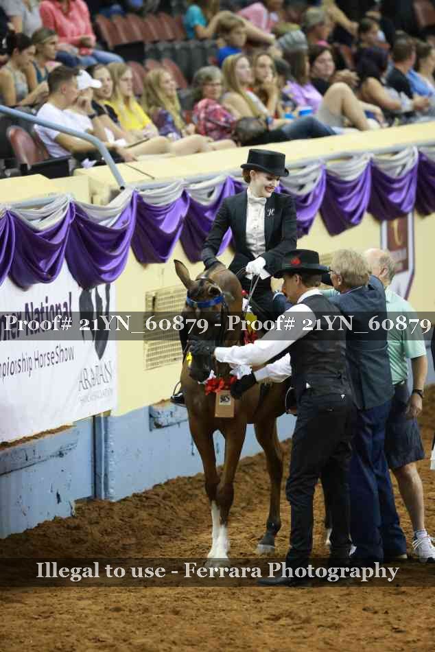 Proof Number 21YN_60879