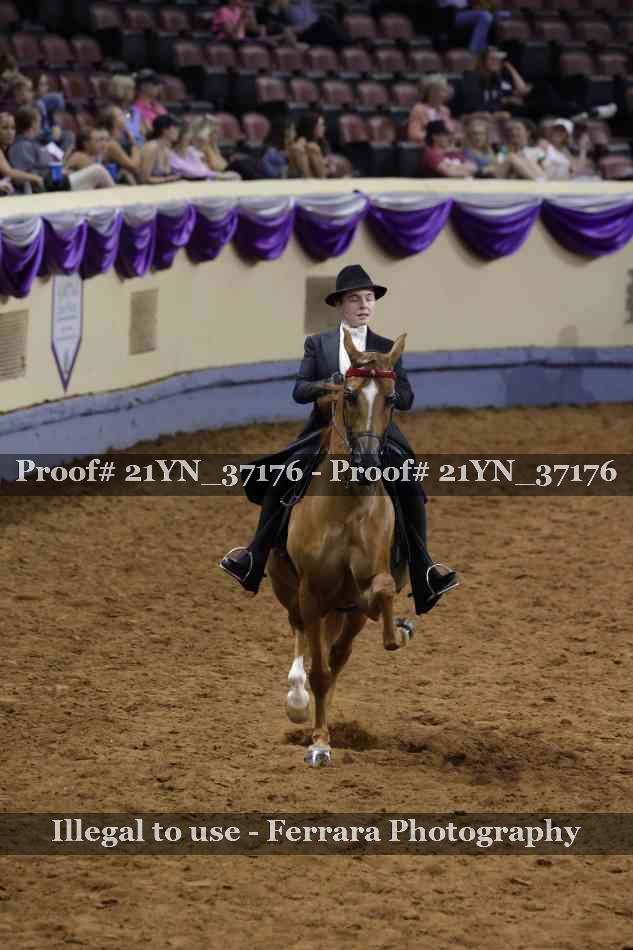 Proof Number 21YN_37176