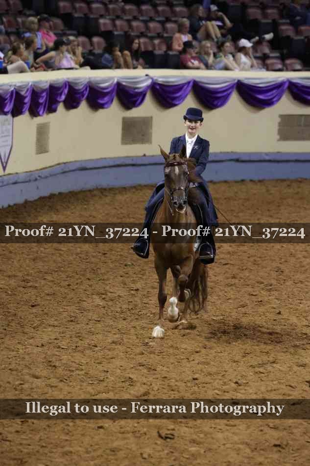 Proof Number 21YN_37224