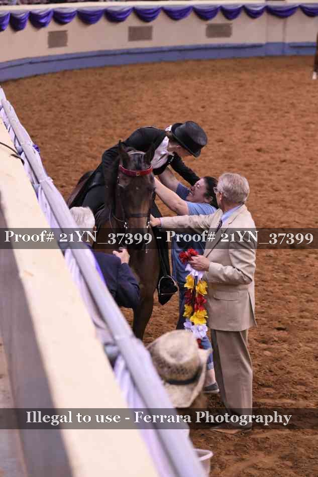Proof Number 21YN_37399