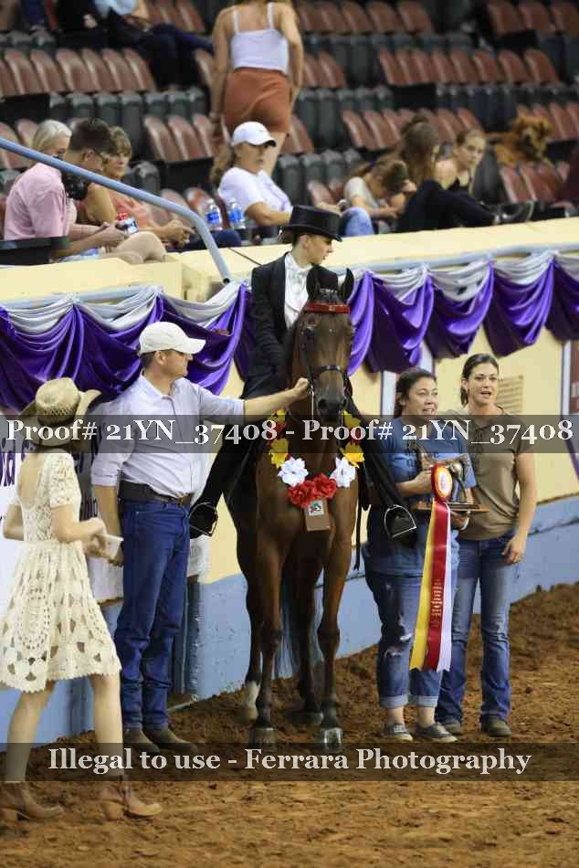 Proof Number 21YN_37408