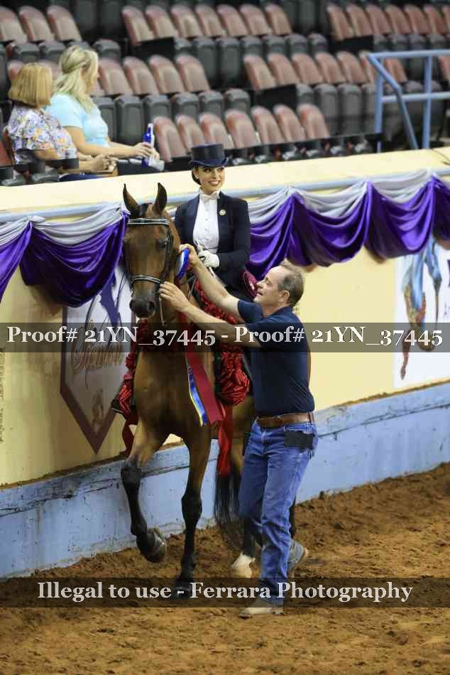 Proof Number 21YN_37445