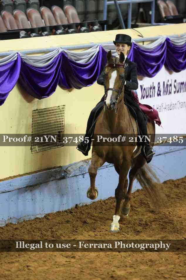 Proof Number 21YN_37485