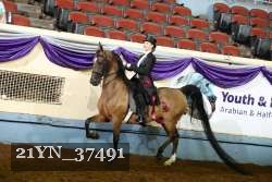 21YN_37491 thumbnail