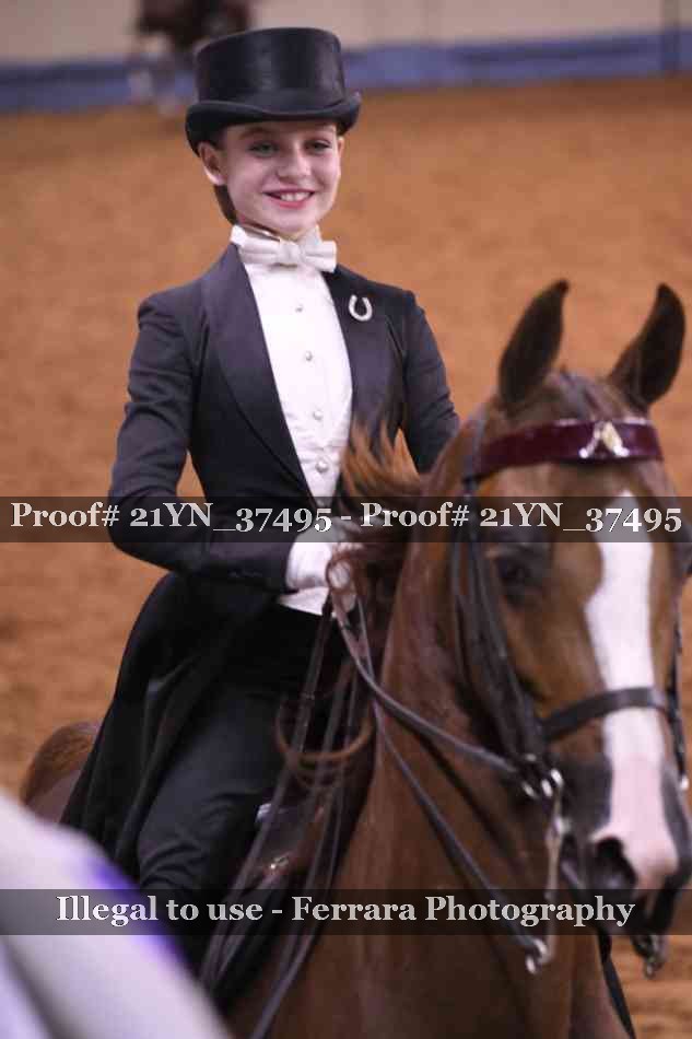 Proof Number 21YN_37495
