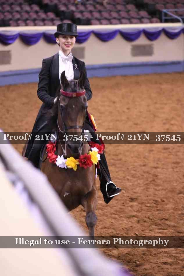 Proof Number 21YN_37545