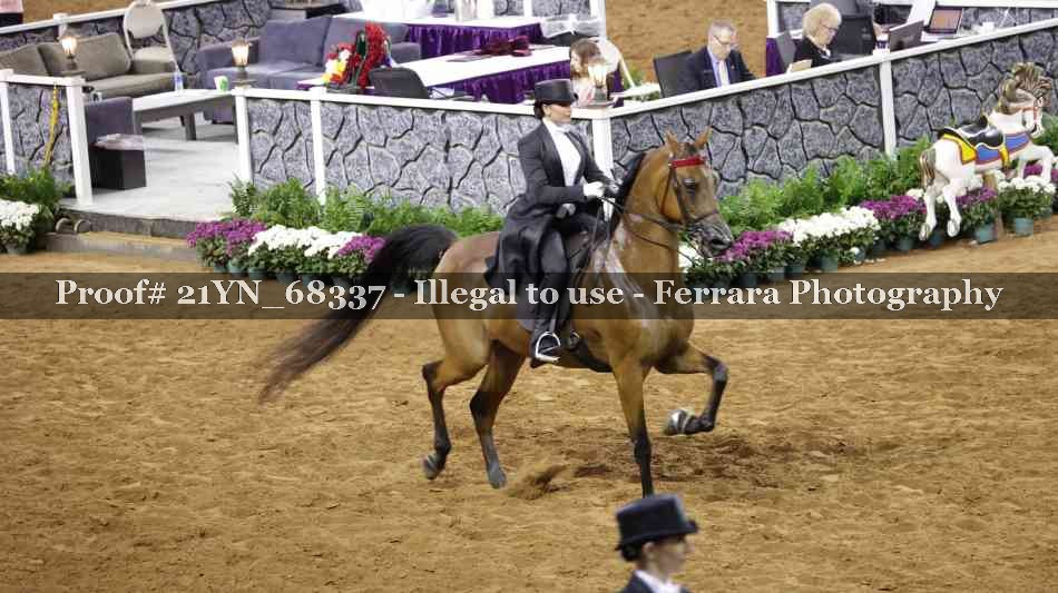 Proof Number 21YN_68337