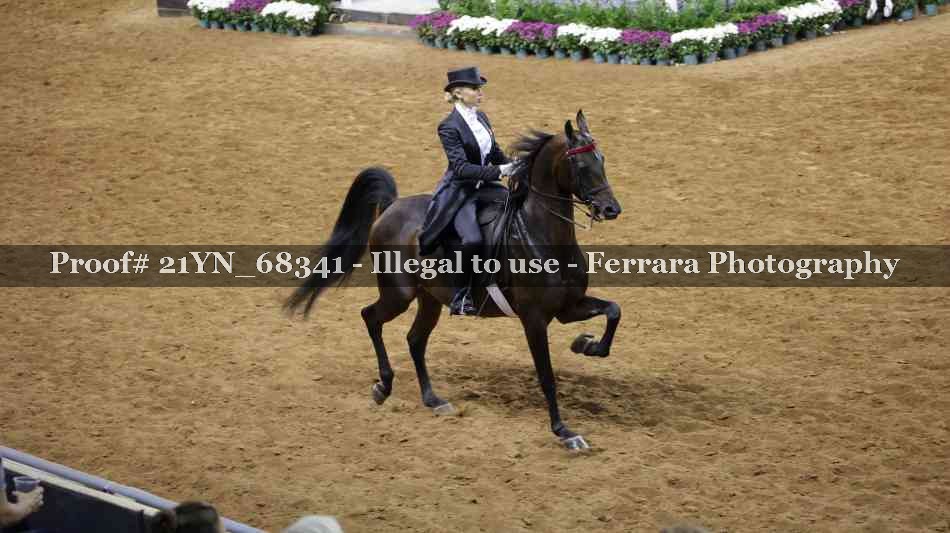 Proof Number 21YN_68341