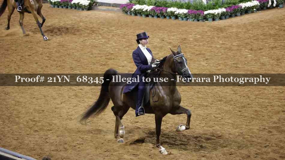 Proof Number 21YN_68345