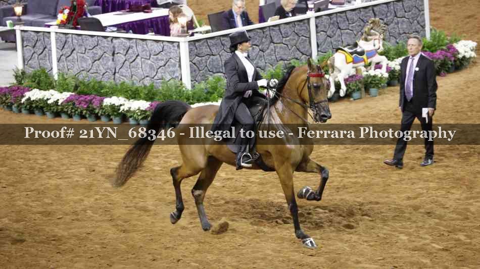 Proof Number 21YN_68346