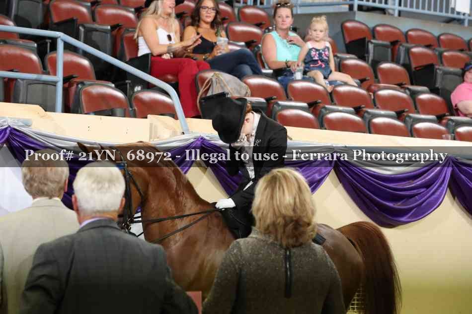 Proof Number 21YN_68972