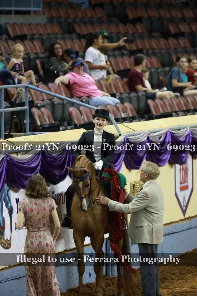 Proof Number 21YN_69023